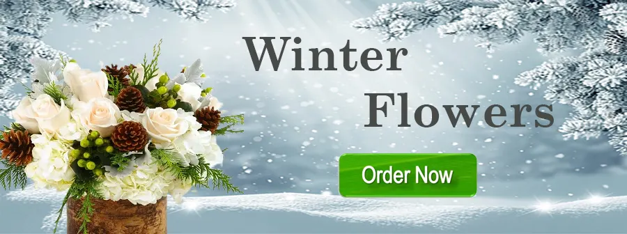 Winter (image for) Winter